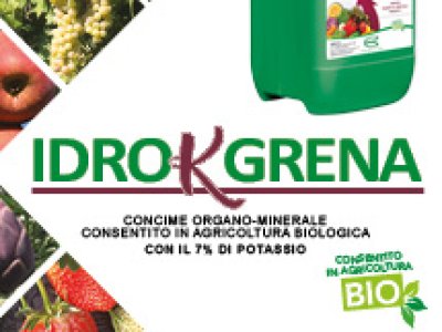 notizie_idrokgrena