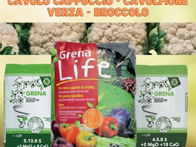 ormai siamo giunti all’attesissima preparazione del terreno in previsione del