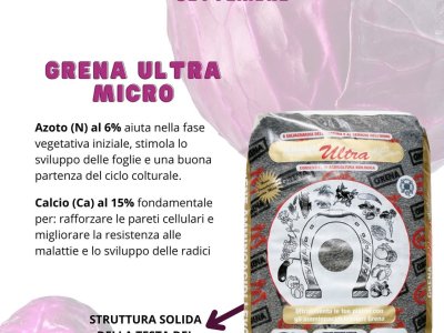quest’anno prima del trapianto, utilizza una concimazione di base bilanciata