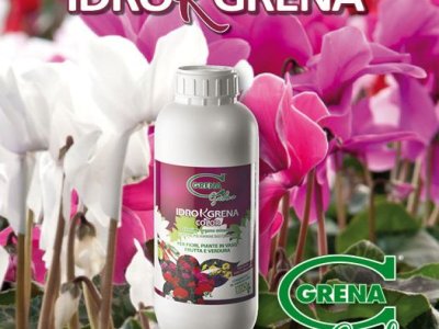 rosa, fucsia, viola, un tocco di colore che affascina la