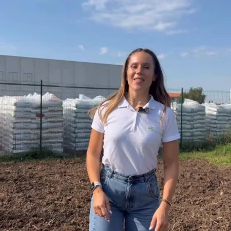 september: it is a transplant time for autumn crops with
