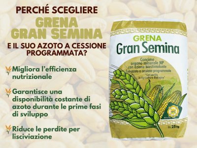 slow sale nitrogen to ensure throughout the culture cycle of