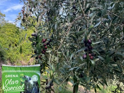 the kommentarfunktion wurde für diesen beitrag deaktiviert.