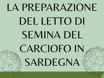 the preparation of the sowing bed is essential to ensure