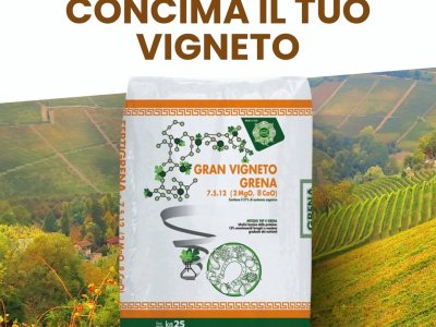 un corretto apporto di azoto (n), fosforo (p) e potassio