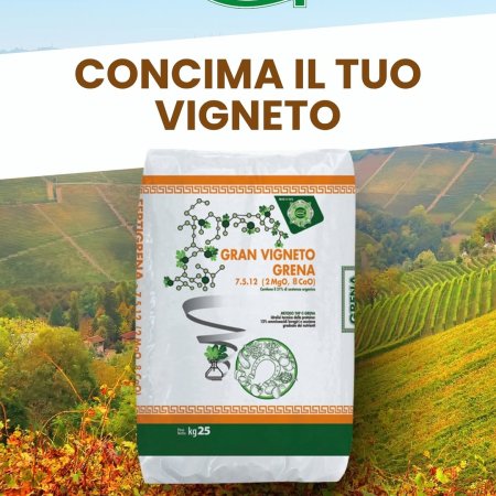 un corretto apporto di azoto (n), fosforo (p) e potassio