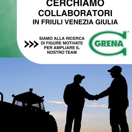 we are looking for in the friuli region venice